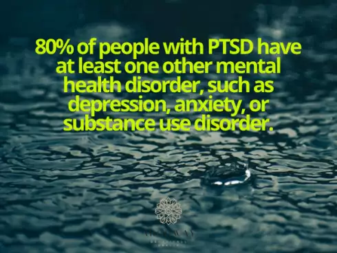 PTSD & Trauma Statistics in the U.S